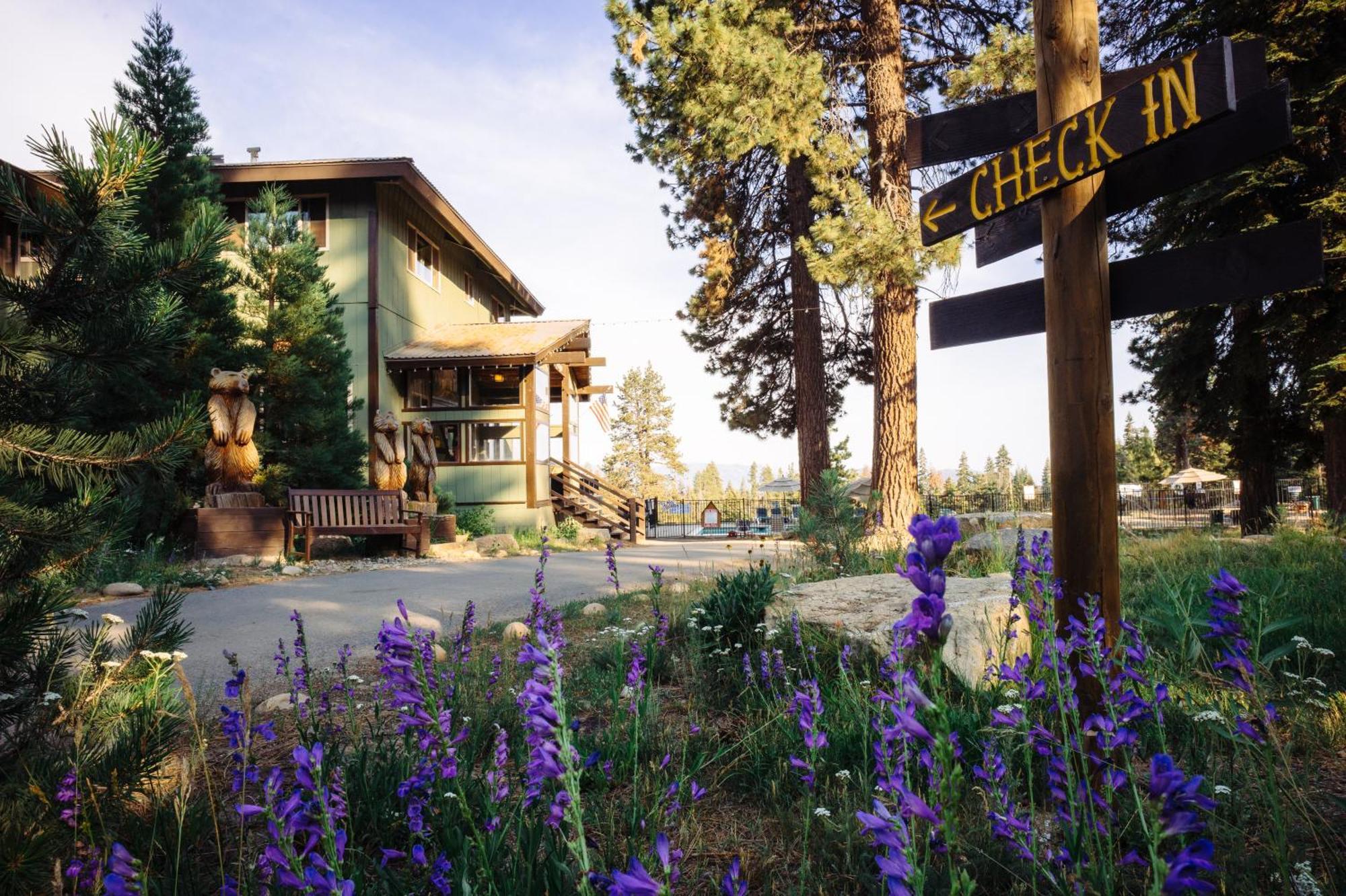 Montecito Sequoia Lodge Wilsonia Экстерьер фото
