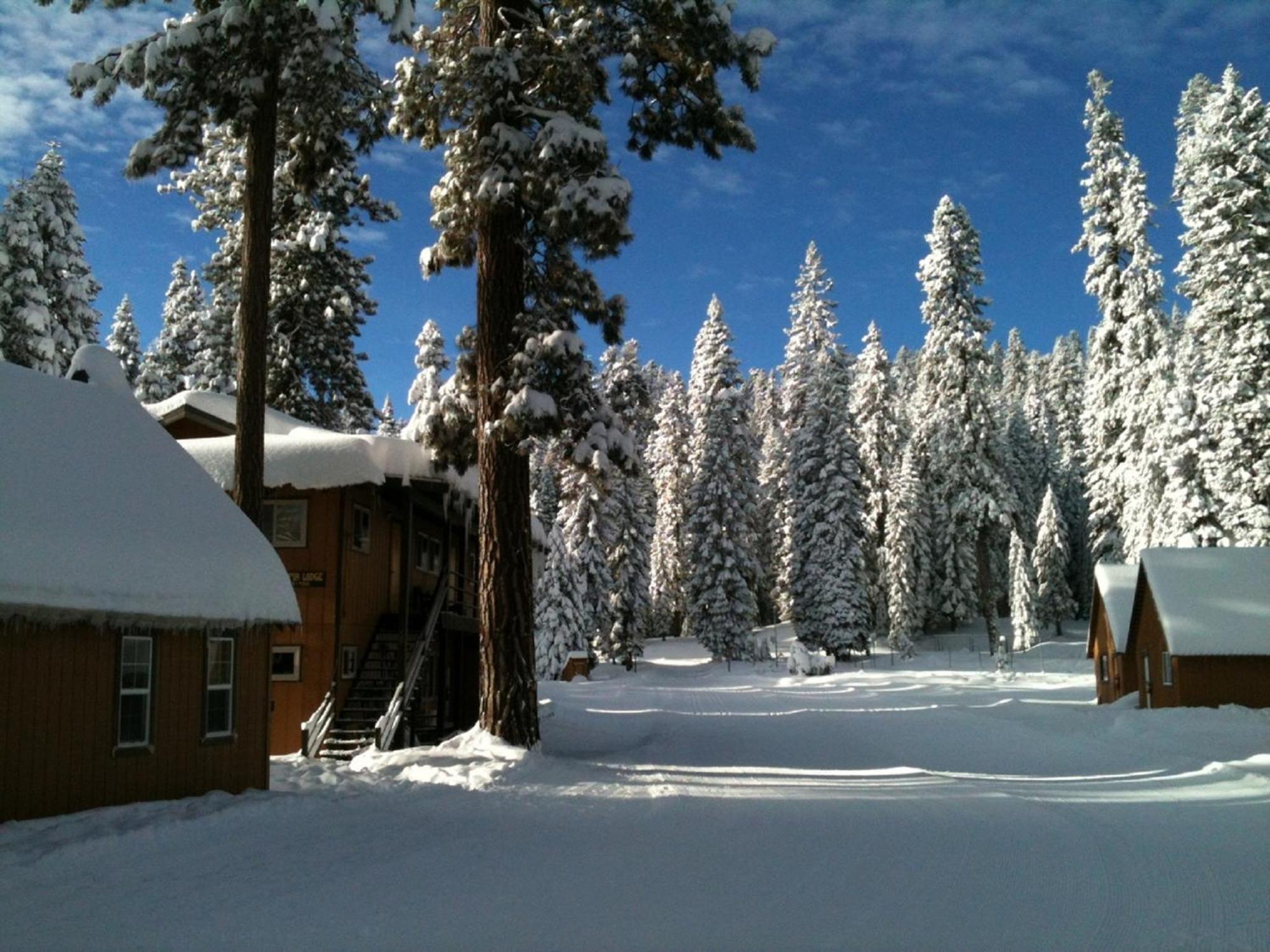 Montecito Sequoia Lodge Wilsonia Экстерьер фото