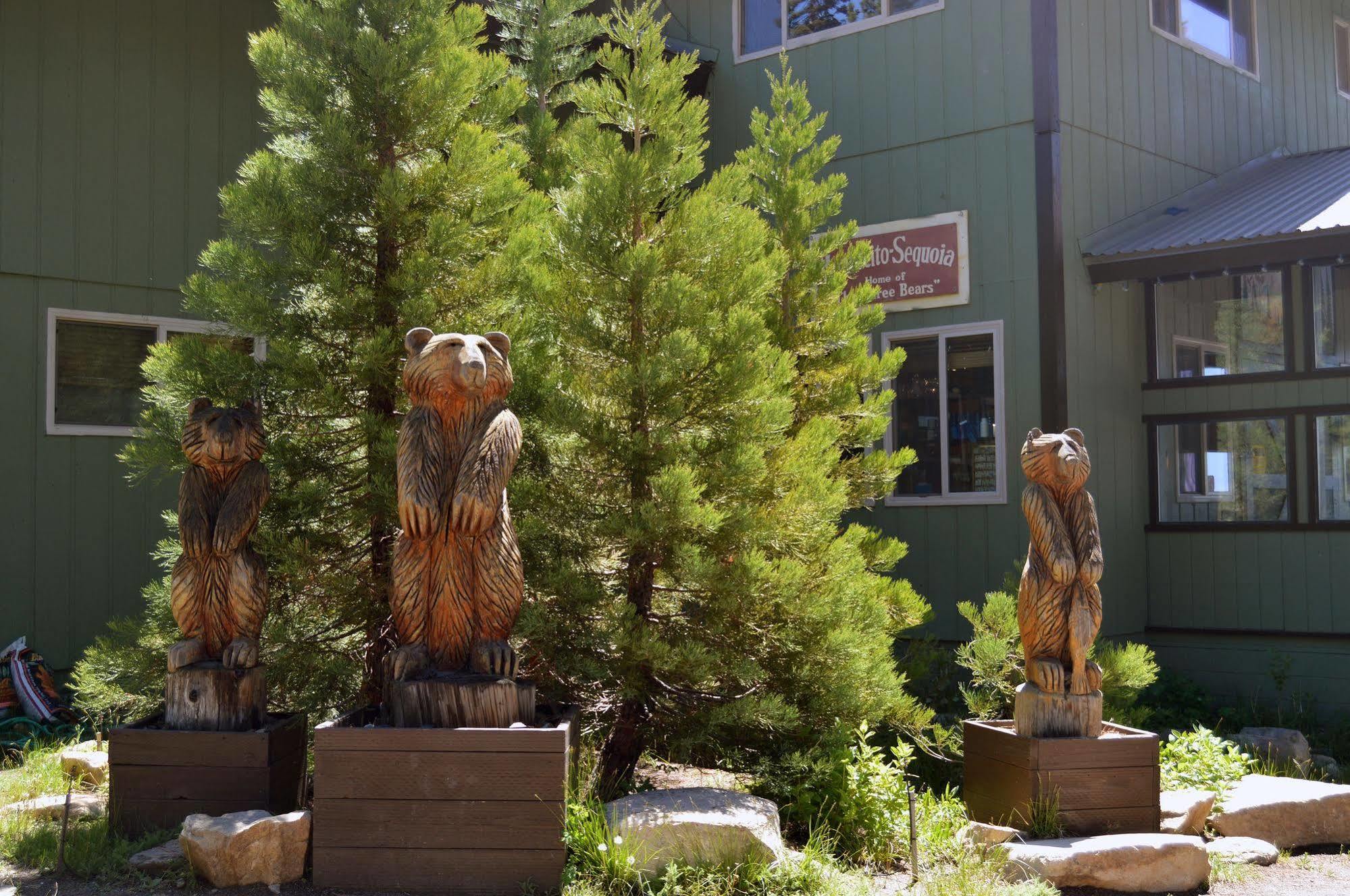 Montecito Sequoia Lodge Wilsonia Экстерьер фото